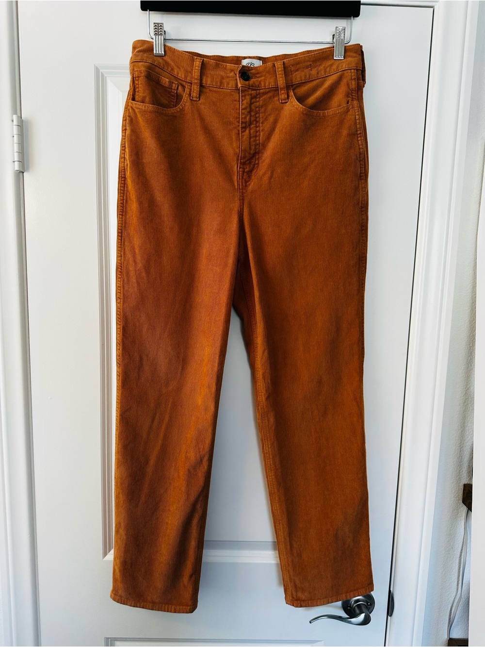 J.Crew Burnt Orange Straight Leg Corduroy Pants Fall Autumn Women's
